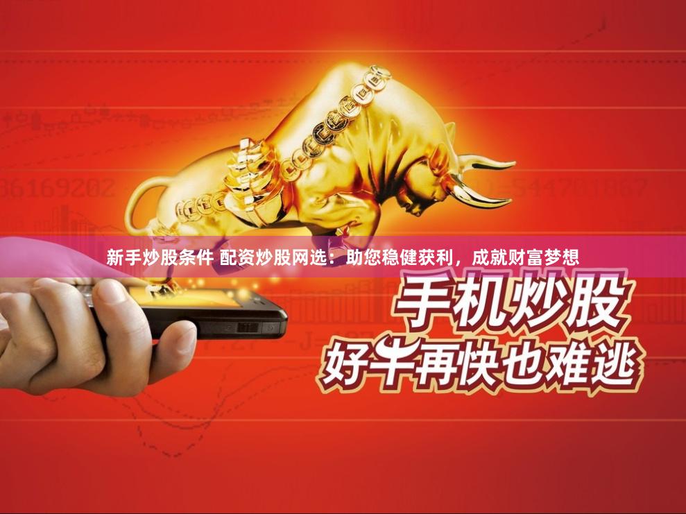 新手炒股条件 配资炒股网选：助您稳健获利，成就财富梦想